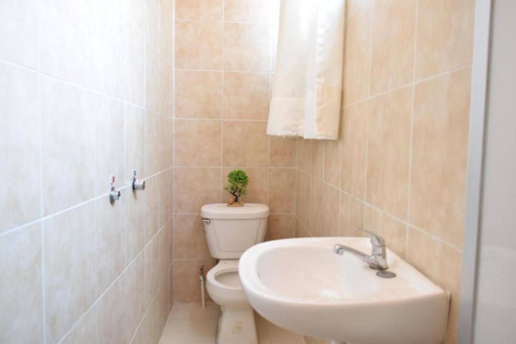 Alto Hostel Kota Meksiko Bagian luar foto