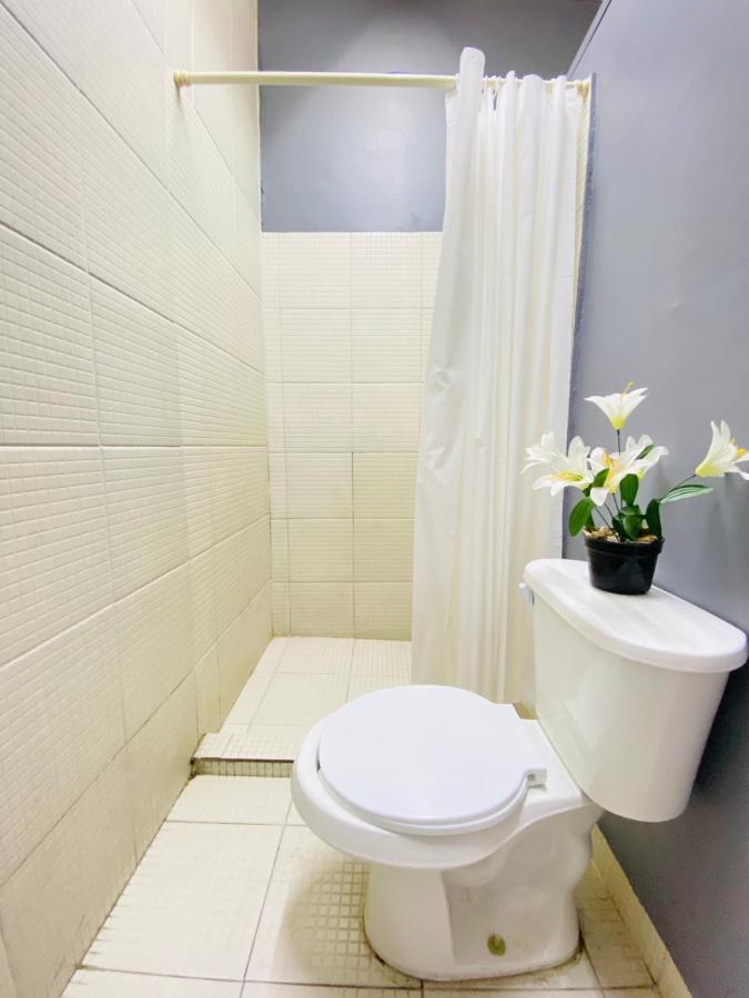 Alto Hostel Kota Meksiko Bagian luar foto
