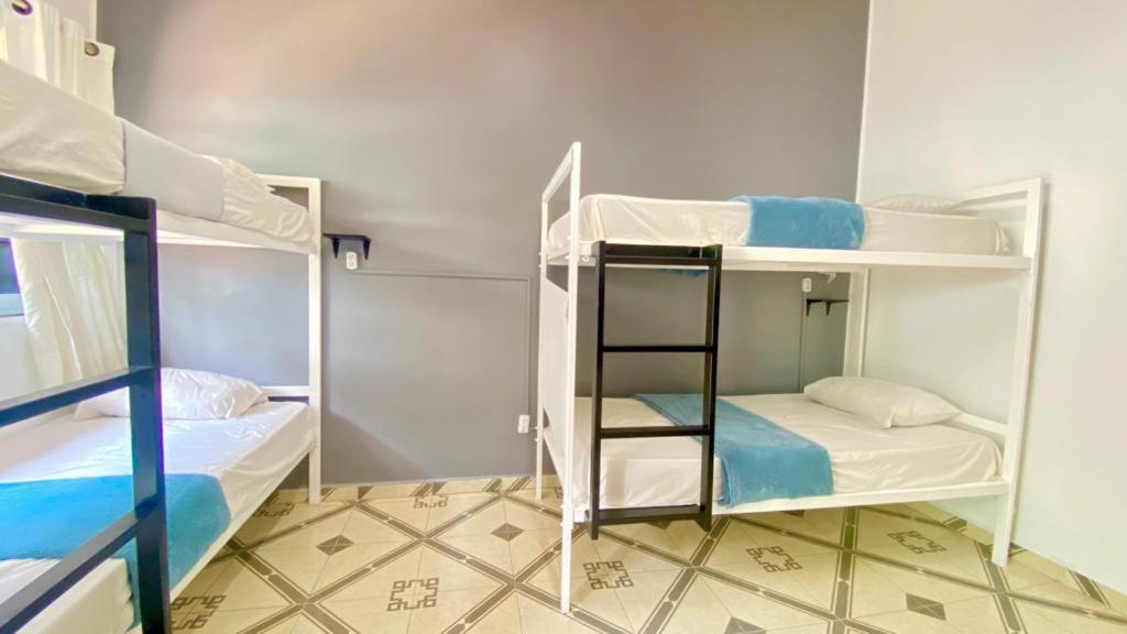 Alto Hostel Kota Meksiko Bagian luar foto