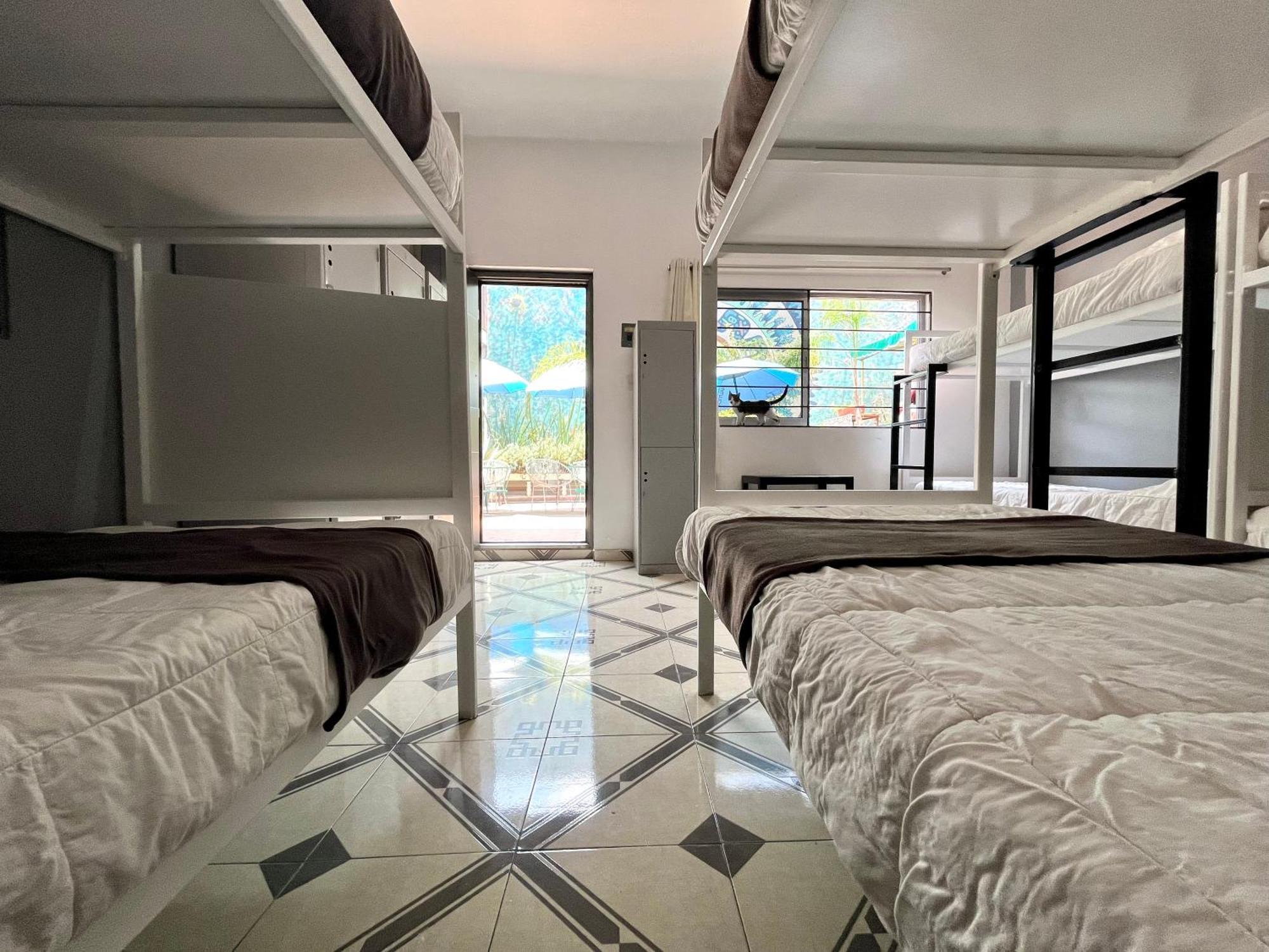 Alto Hostel Kota Meksiko Bagian luar foto
